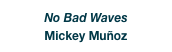 No Bad Waves
Mickey Muñoz